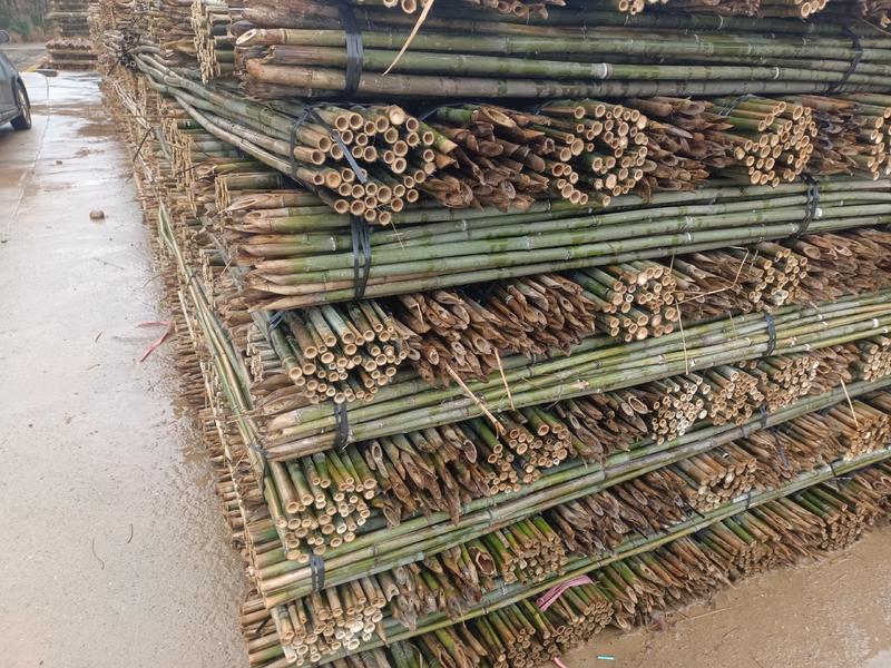 优质竹子，菜架竹，竹竿，金竹，豆角架，冬瓜架，产地批发！