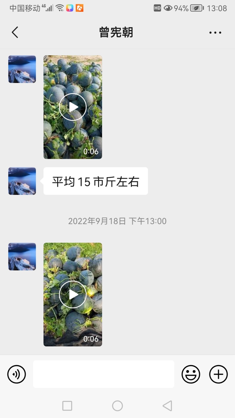 疆特丰三号纯黑皮无籽西瓜种子中晚熟不空心蜡粉厚大果30