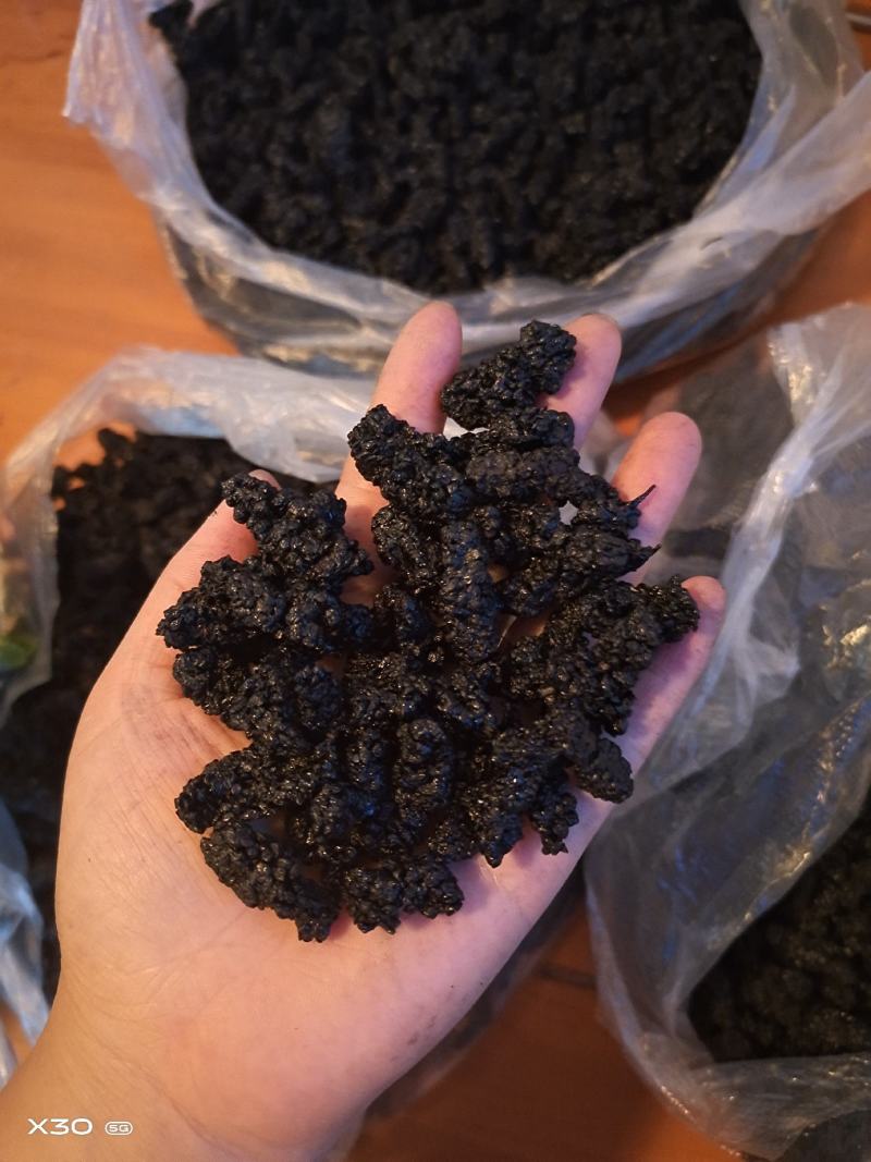 大凉山桑葚干