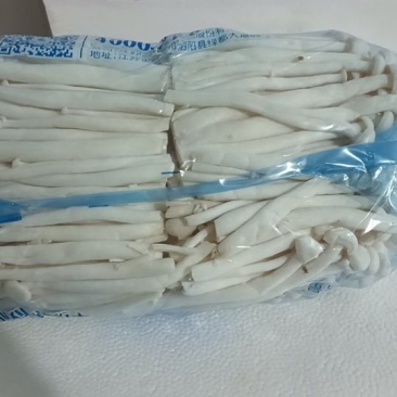 山东潍坊精品白玉菇