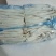 山东潍坊精品白玉菇