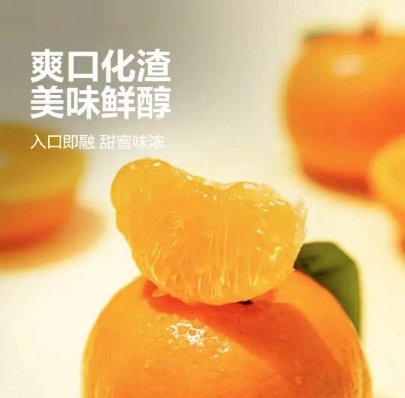 四川沃柑万亩柑桔产地直发品质保障可对接商超电商全国发货