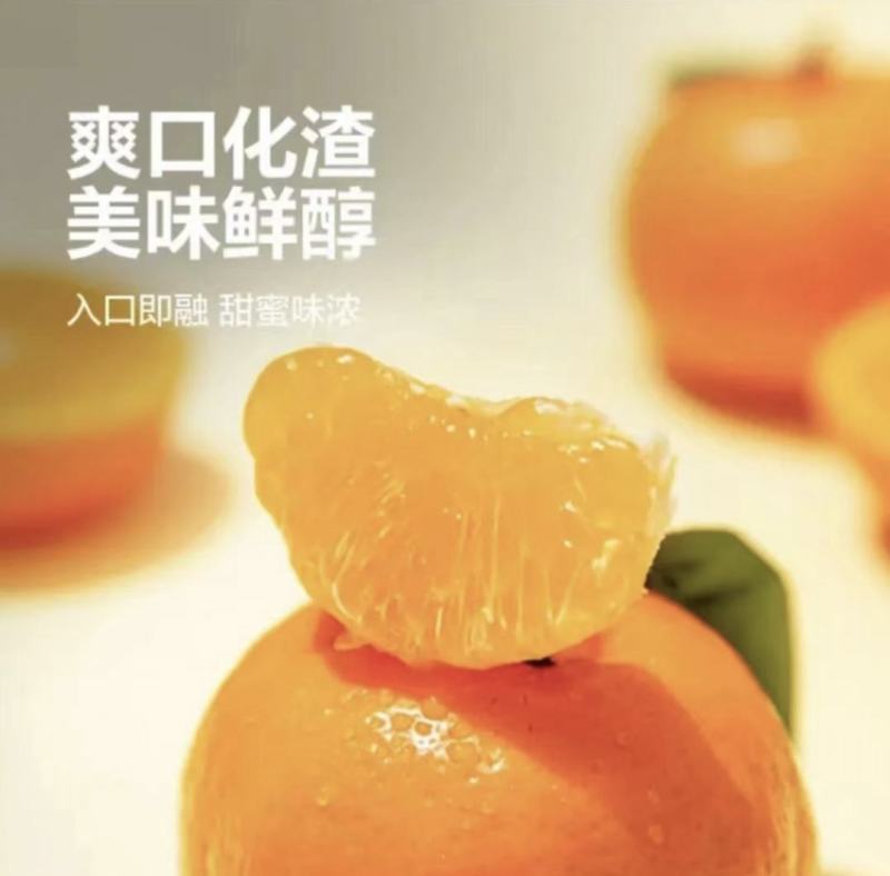 四川沃柑万亩柑桔产地直发品质保障可对接商超电商全国发货