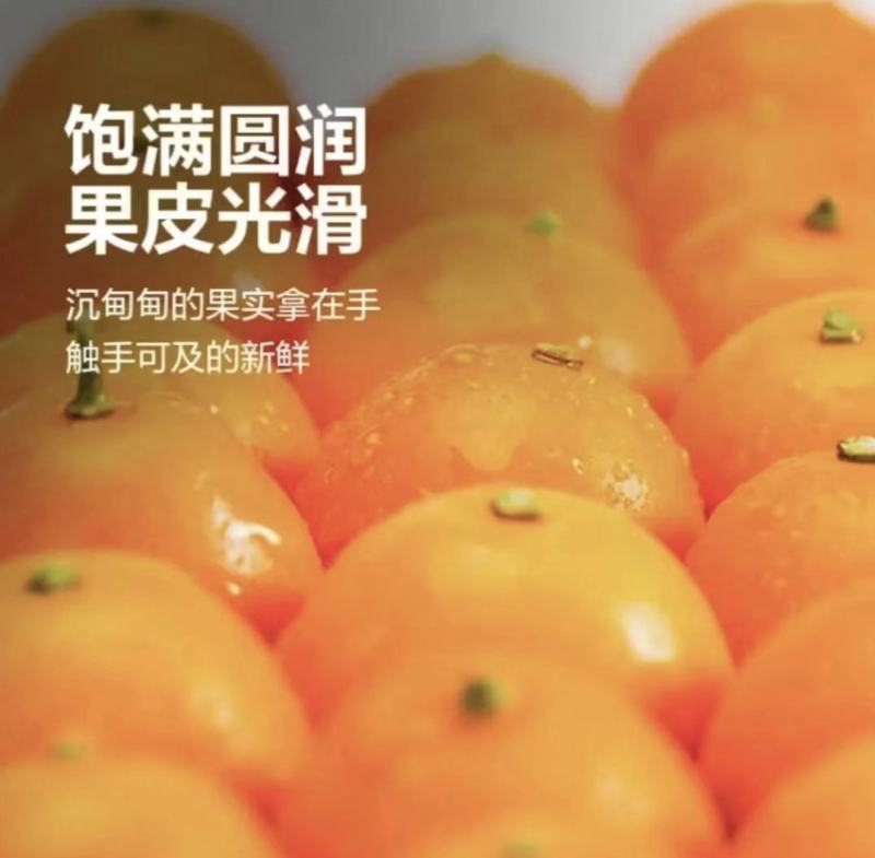 四川沃柑万亩柑桔产地直发品质保障可对接商超电商全国发货