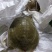 外塘冷水甲鱼，大量现货供应，有需要联系