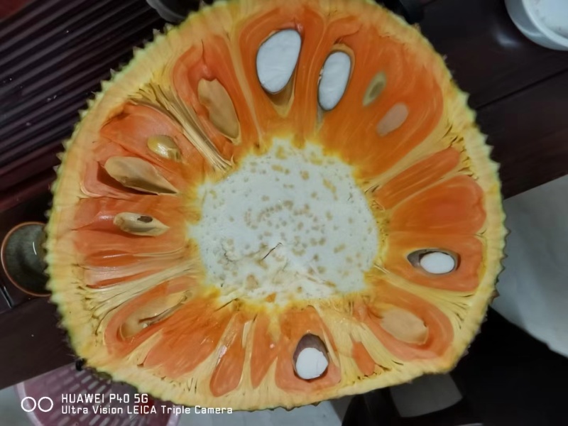 红肉菠萝蜜