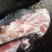 东北精品肥猪一级带颈前排，仓储直发，尾货处理，欢迎选购
