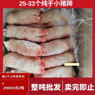 肥猪精品肥猪一级小蹄，仓储直发，保质保量，欢迎选购