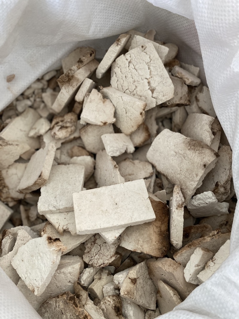 茯神