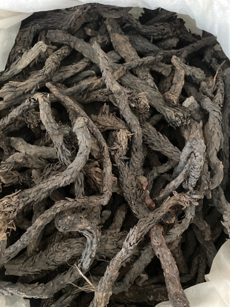 肉苁蓉