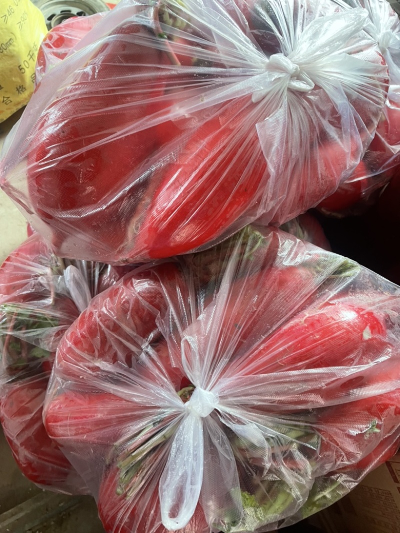 需要的朋友可以联系我