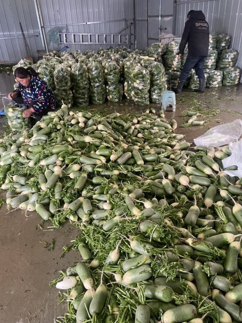 需要的朋友可以联系我