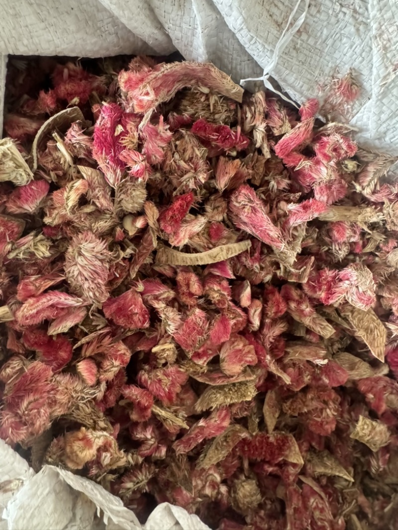 红鸡冠花鸡冠花药用保庆药业批发鸡冠花