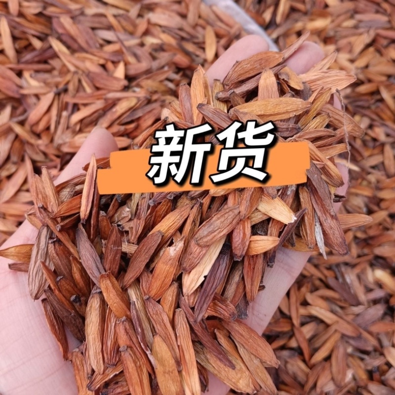 喜树果囍树果千丈树保庆药业批发