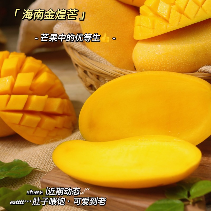 海南金煌芒上架又是一年芒果季核薄肉厚现摘现发
