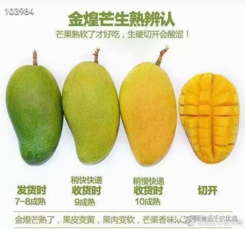 海南金煌芒上架又是一年芒果季核薄肉厚现摘现发