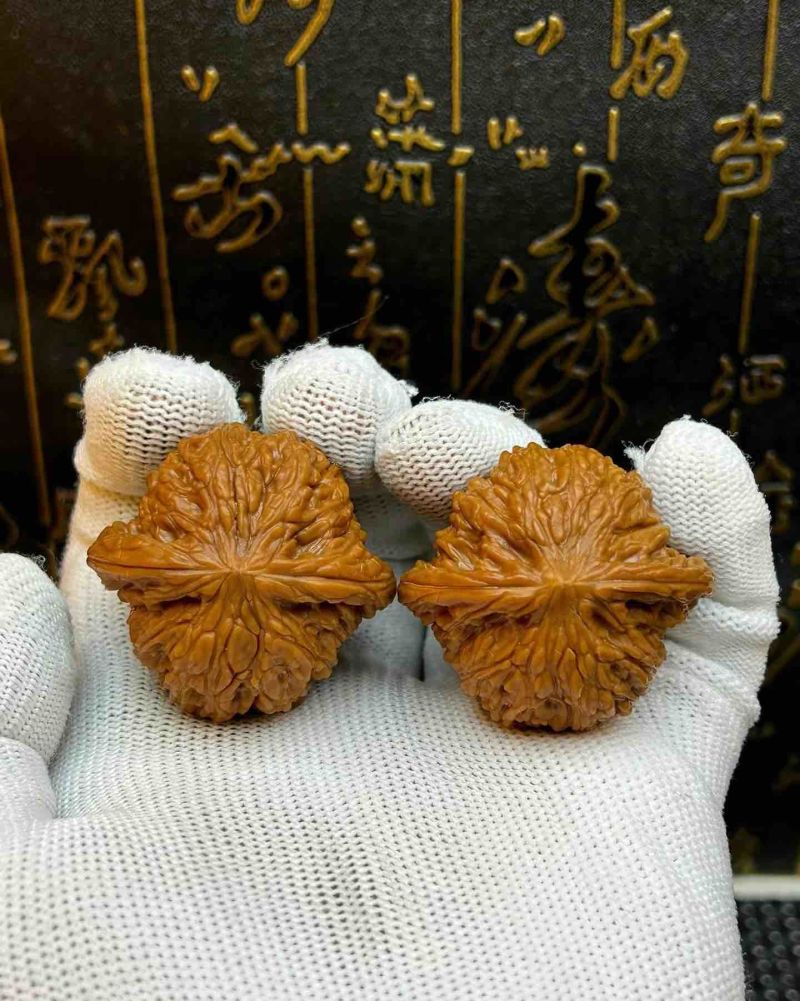 文玩核桃
