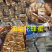 蜂蜜油菜花蜂蜜整块蜂蜜嚼着吃