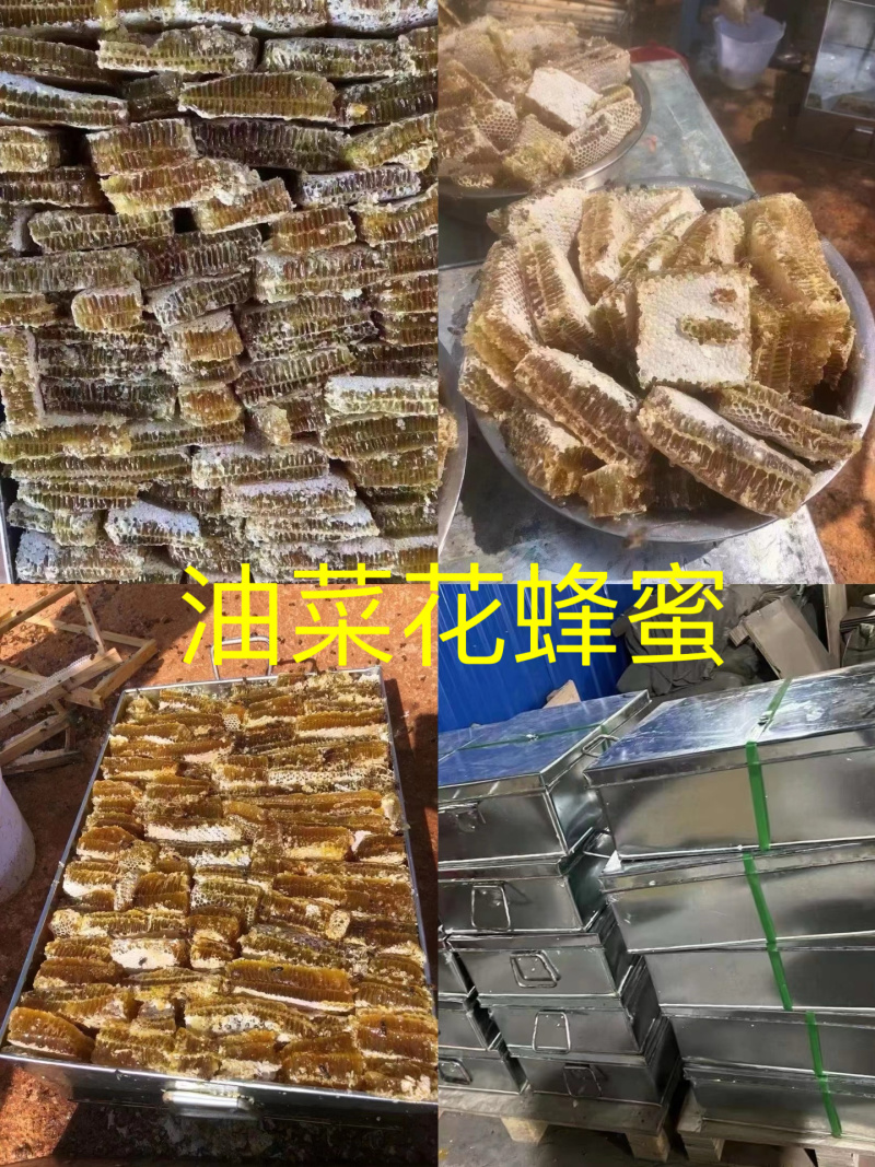 蜂蜜油菜花蜂蜜整块蜂蜜嚼着吃
