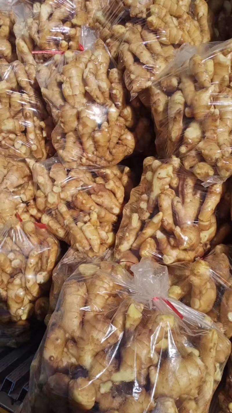 精品生黄姜，产地大量供应，保质保量，欢迎致电合作
