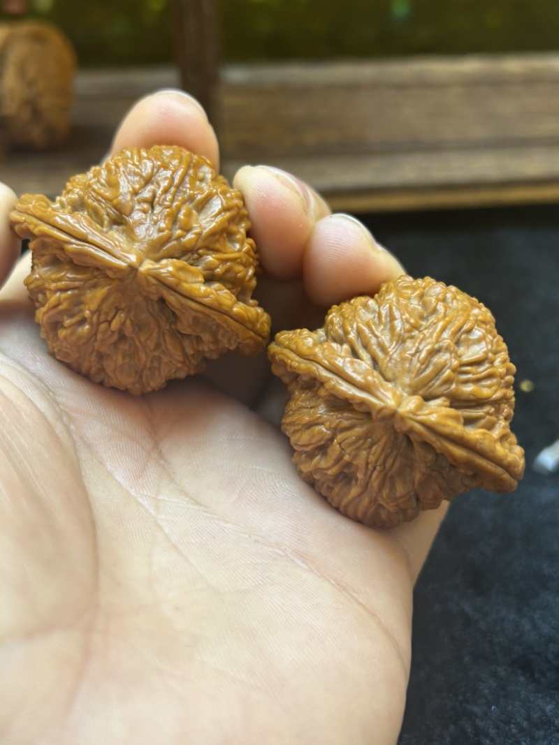 文玩核桃各品种都有