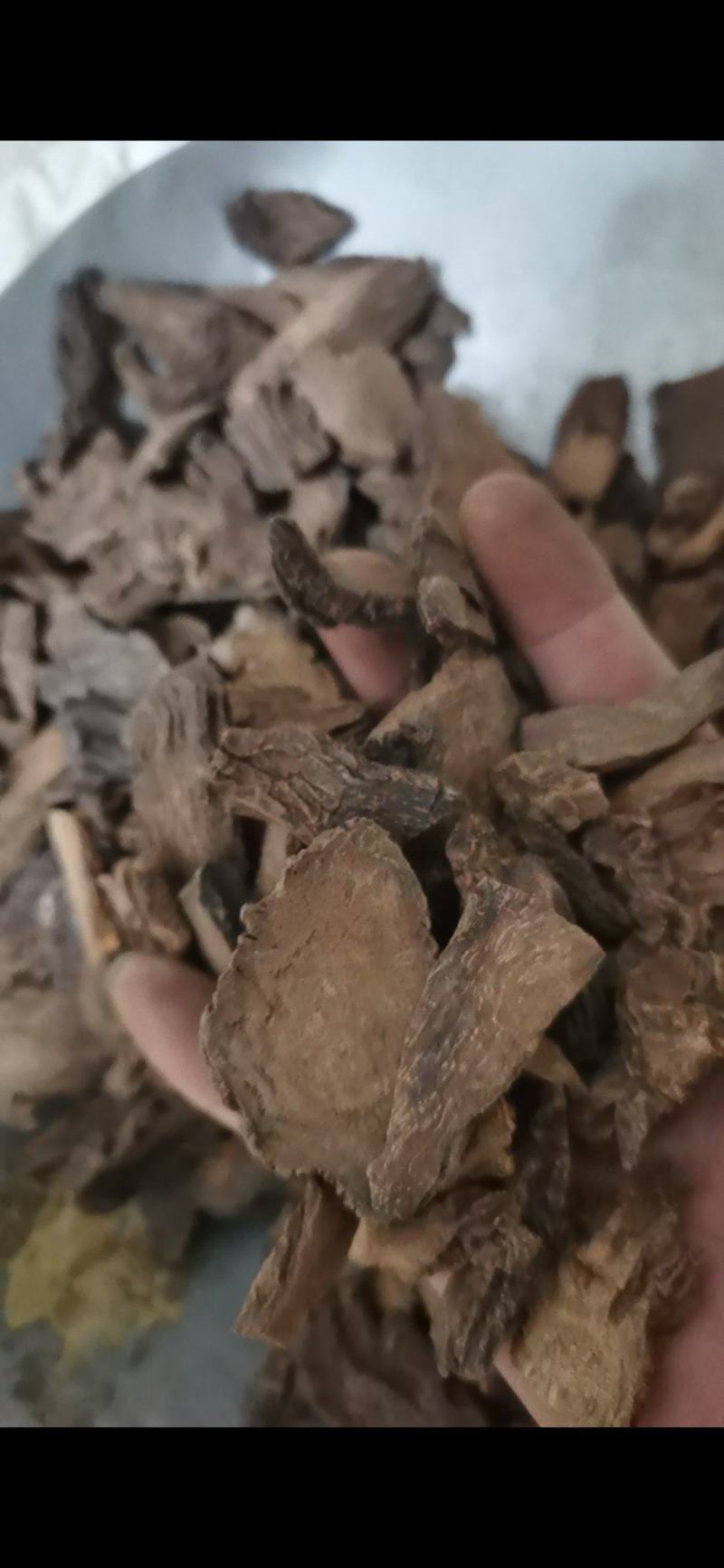 锁阳正品锁阳片泽润中药批发零售各种中药材
