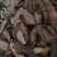 锁阳正品锁阳片泽润中药批发零售各种中药材