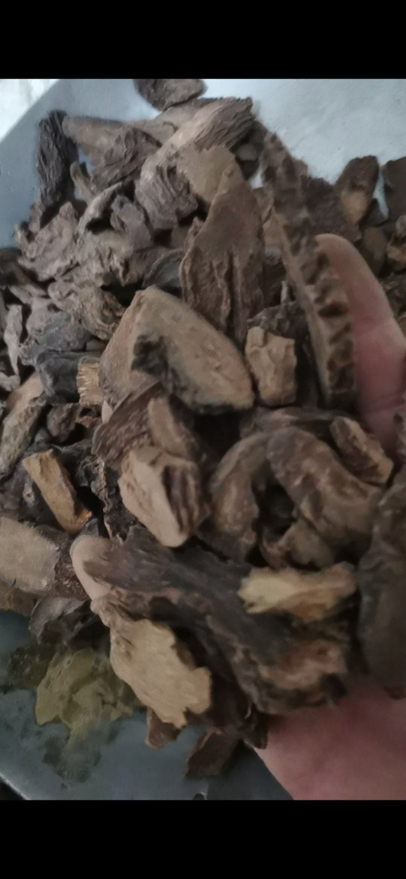 锁阳正品锁阳片泽润中药批发零售各种中药材