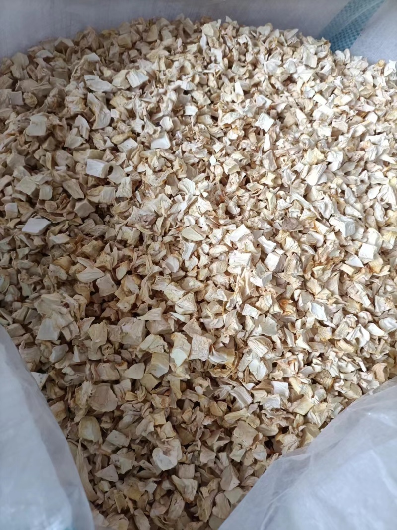 福建杏鲍菇干货菇丁，规格可定做，食品厂预制菜专用