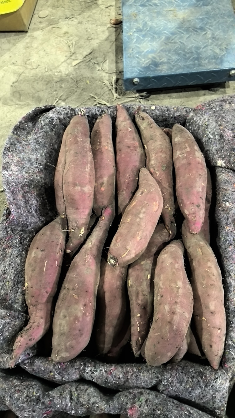 红瑶烤块，烤薯店的必备红薯，软糯香甜，回头客百分之百