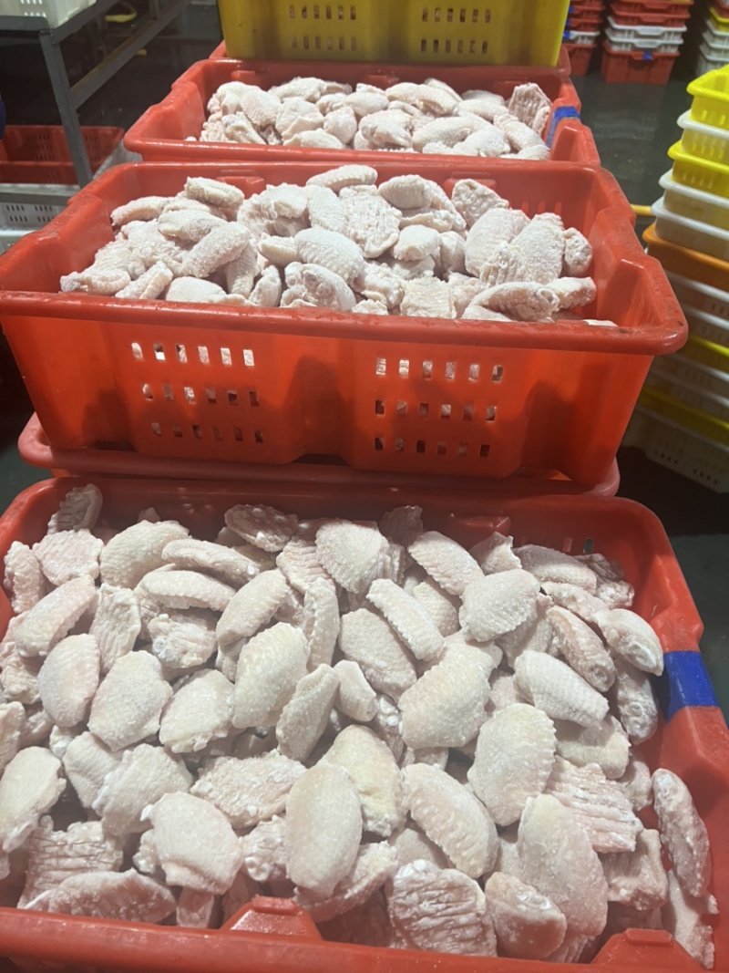 翅中厂家直销质量保证全面发货欢迎参观考察