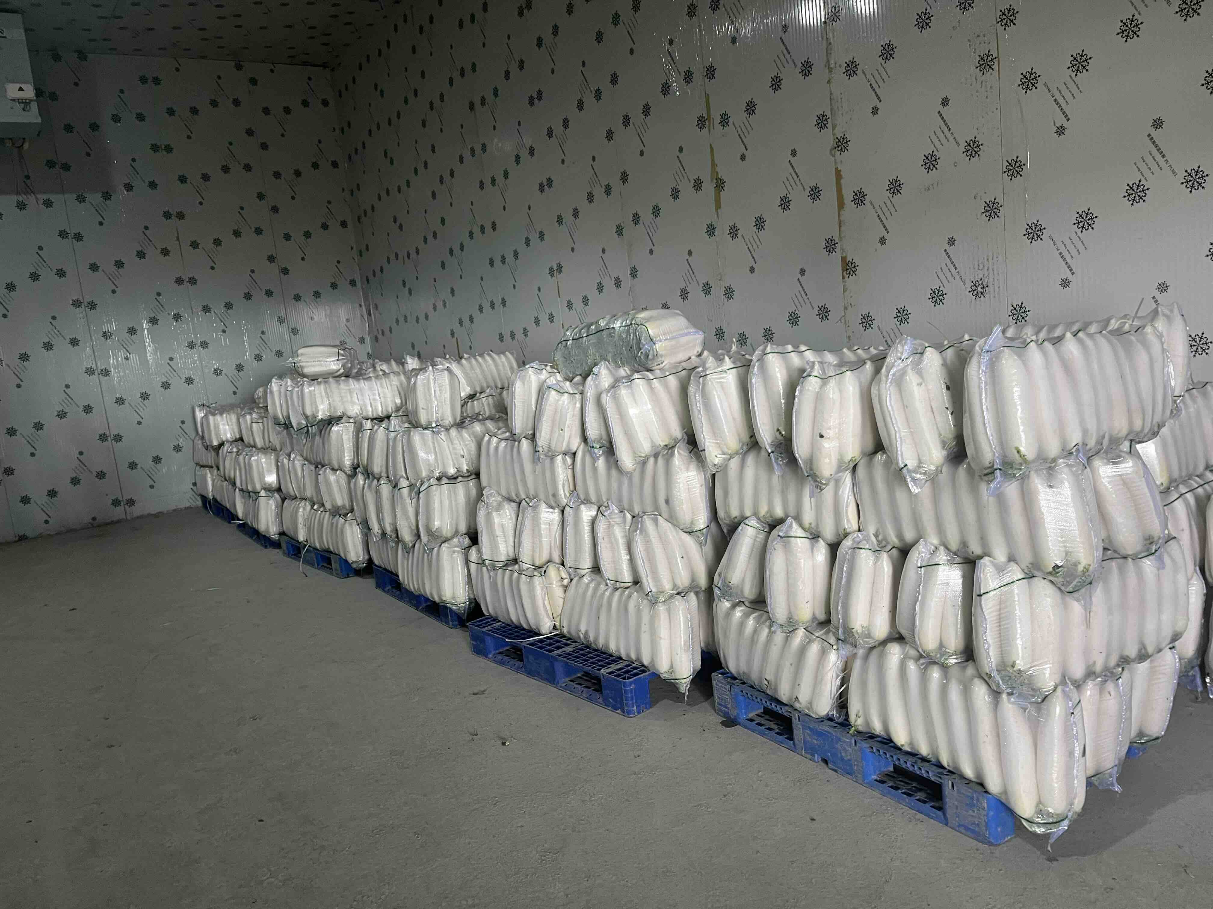 储存容器对比图