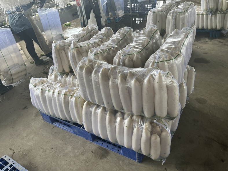 红皮白肉萝卜被加工成多种产品,如酱萝卜、萝卜干、萝卜汁等,陈列在货架上 红皮白肉萝卜深加工产品展示