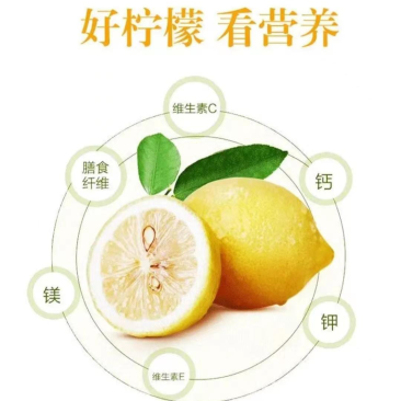 四川安岳黄柠檬产地直发奶茶店水果店（大果）量大从优
