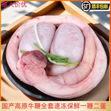 国产高原牛鞭全套精修去油速冻保鲜一鞭二蛋正宗黄牛鞭无水发