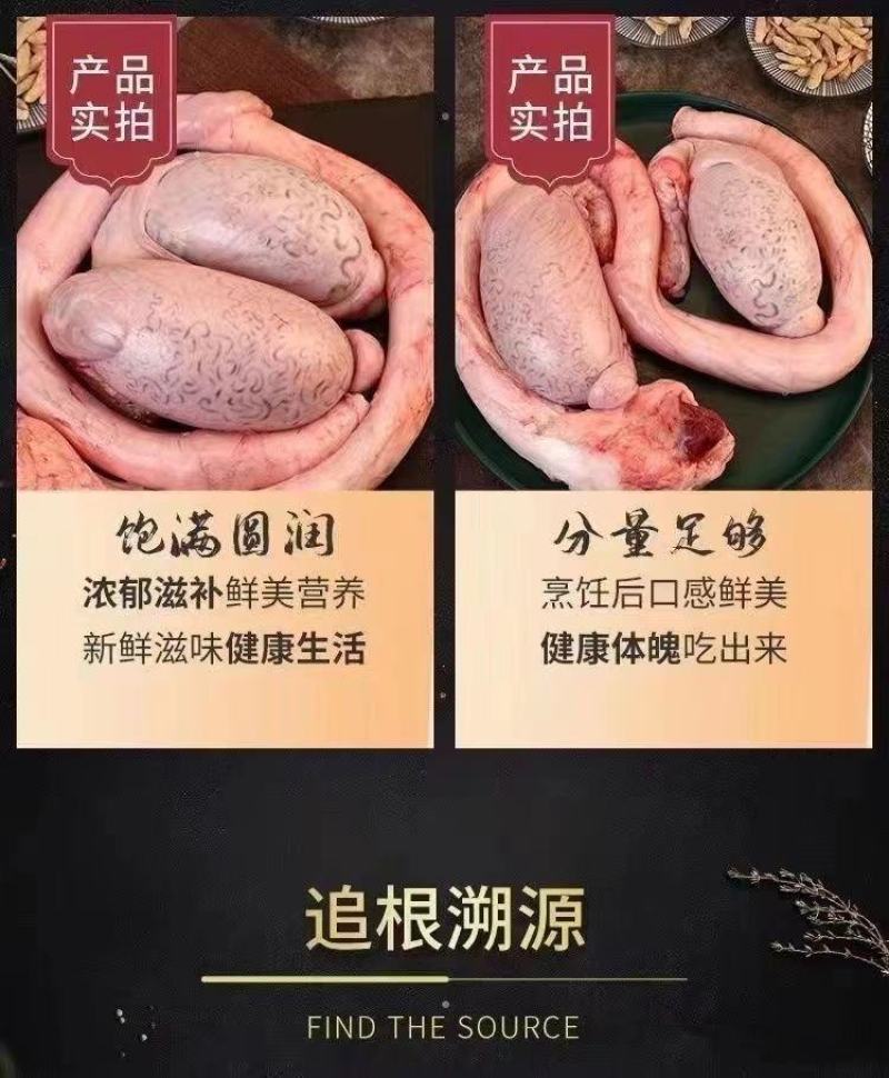 国产高原牛鞭全套精修去油速冻保鲜一鞭二蛋正宗黄牛鞭无水发