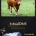 国产高原牛鞭全套精修去油速冻保鲜一鞭二蛋正宗黄牛鞭无水发
