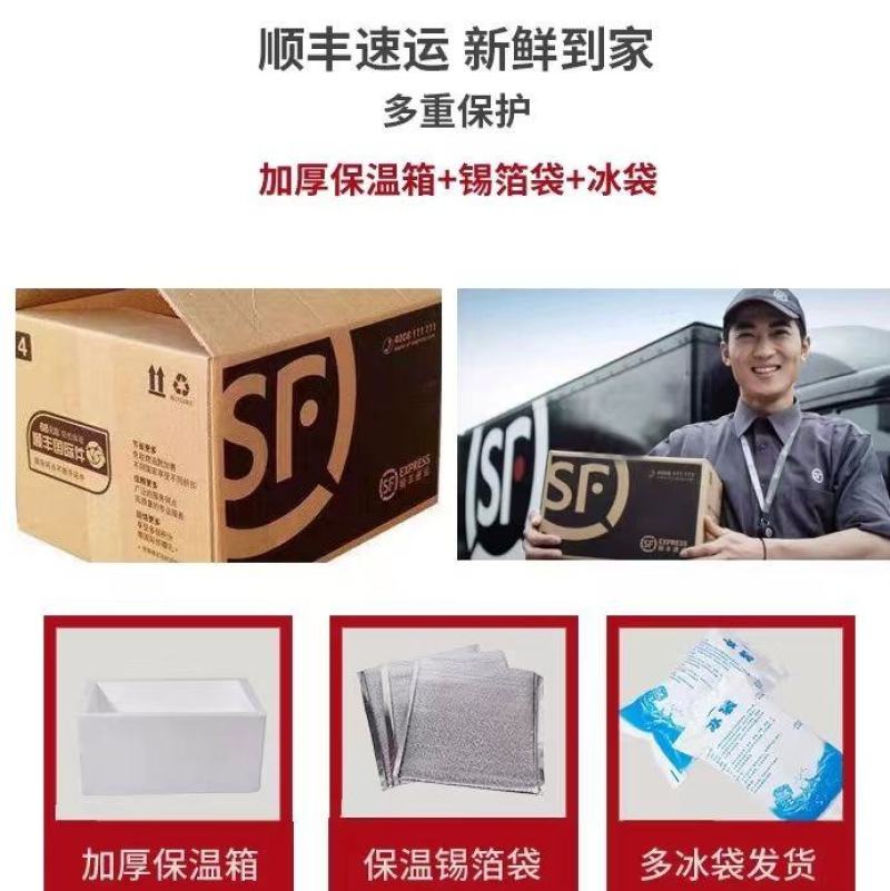 国产高原牛鞭全套精修去油速冻保鲜一鞭二蛋正宗黄牛鞭无水发