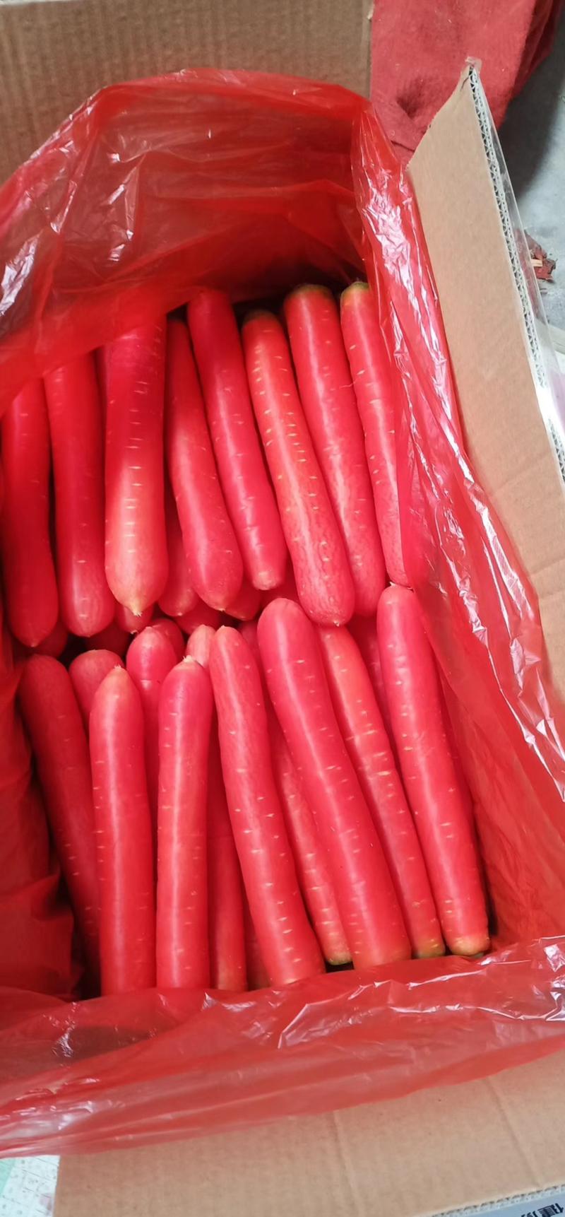 陕西渭南产地水果红萝卜大量有货各种规格一手货源