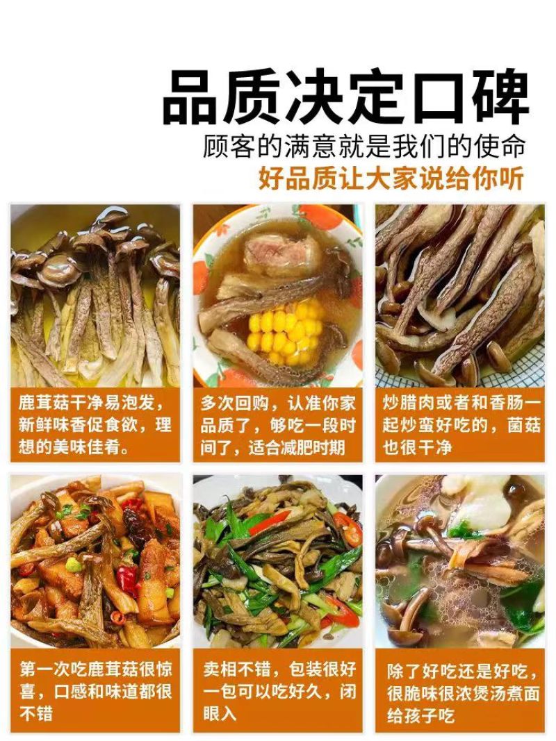 优质鹿茸菇货源充足质量保证量大从优质量保证欢迎咨询