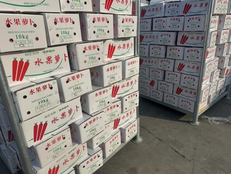 陕西渭南水果红萝卜供应库存精品红萝卜供应一手价格全国发货