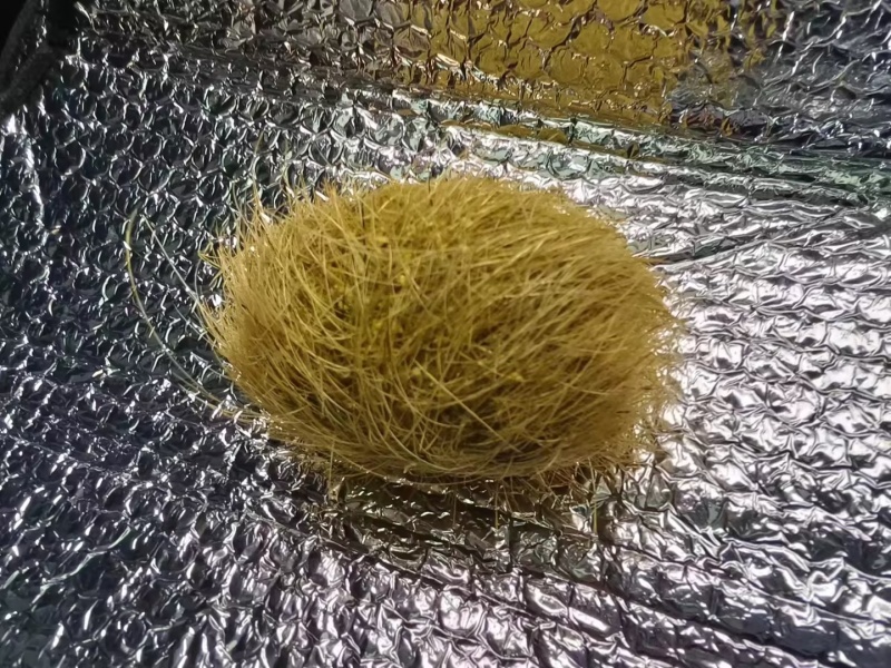猪宝共计148g精品欢迎进店咨询亦可直接拨打电话
