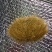 猪宝共计148g精品欢迎进店咨询亦可直接拨打电话