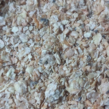 豆粕43蛋白饲料原料库存充足随时可提招代理商