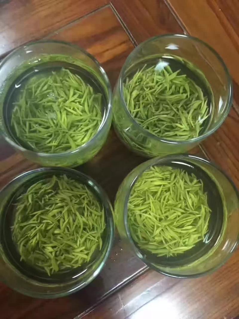 江西省遂川县狗牯脑茶绿茶品质保证诚信经营欢迎联系