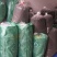 江西省遂川县狗牯脑茶绿茶品质保证诚信经营欢迎联系