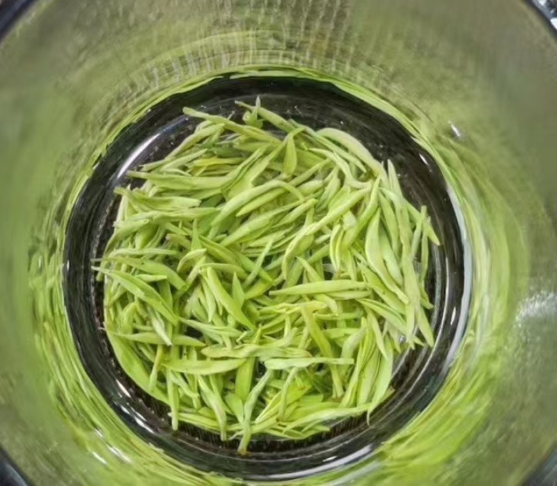 江西省遂川县狗牯脑茶绿茶品质保证诚信经营欢迎联系
