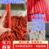 陕西渭南水果红萝卜供应新苗精品红萝卜一手价格诚信发货