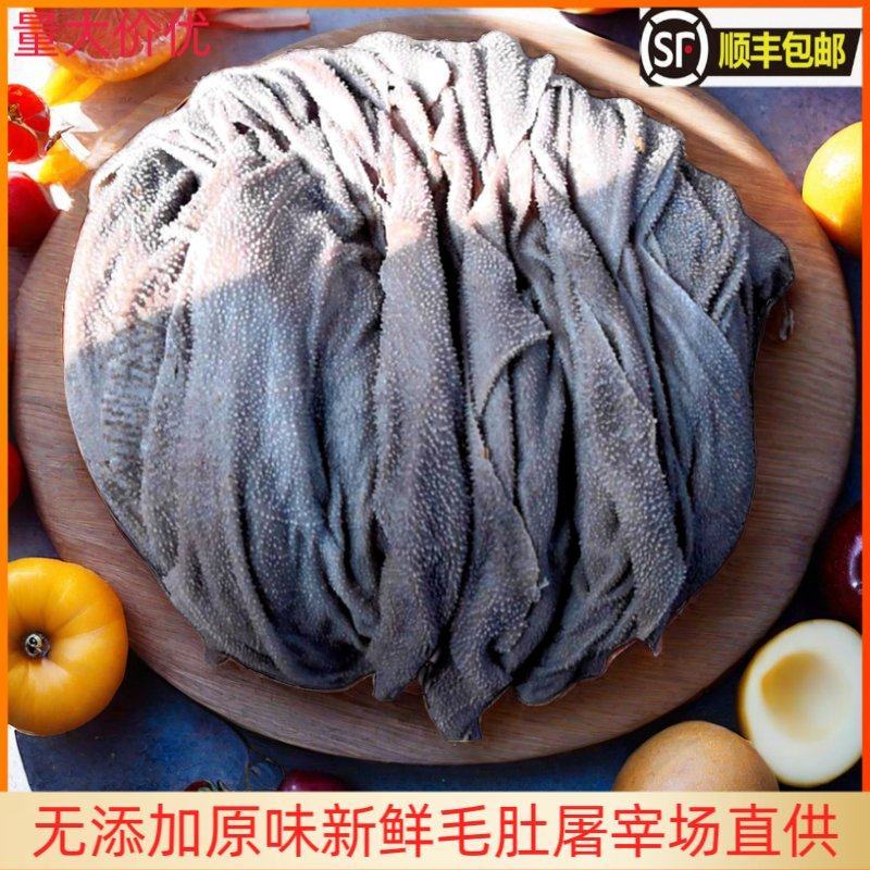 屠宰场新鲜毛肚每天现货速发0添加原味牛百叶无水发鲜毛肚