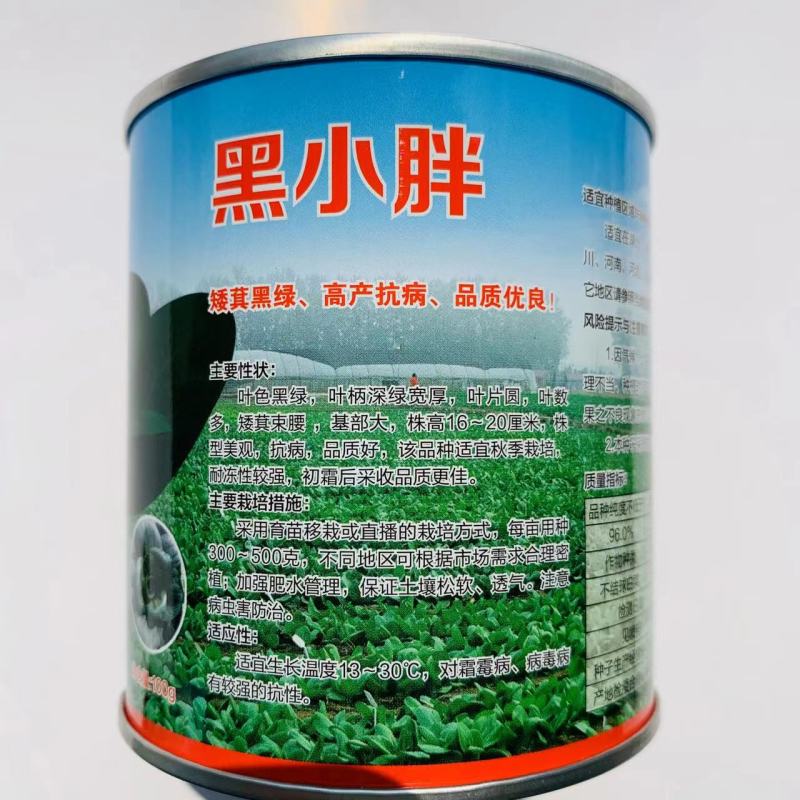 青硕黑小胖青梗菜种子黑叶苏州青种子矮萁黑绿青菜种籽油菜种